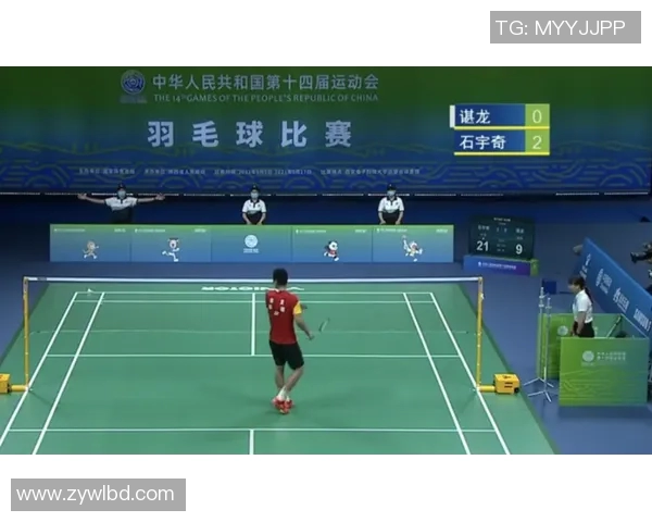 成都羽毛球队与北京羽毛球队赛后复盘分析力量对比与战术探讨